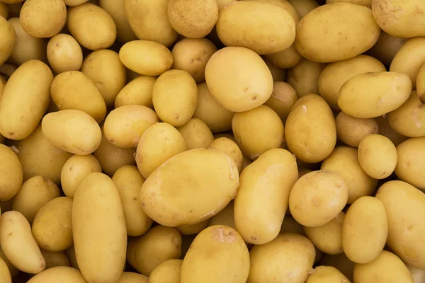 Pişmemiş bebek unpeeled patates yığını