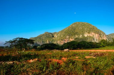 Mogotes ile Vinales vadi Panorama