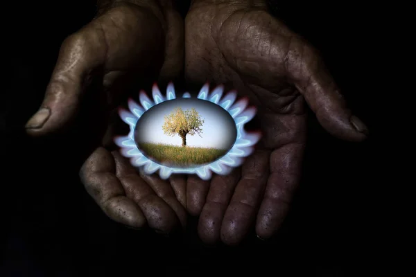 Dos Manos Viejas Muestran Ejemplo Conservación Del Medio Ambiente — Foto de Stock