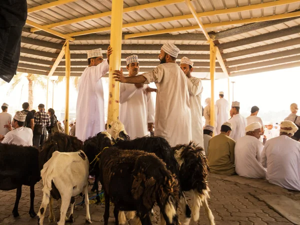Nizwa, Umman - 2 Kasım 2018: Erkek hayvanların Nizwa Cuma hayvan pazarında Satılık fiyat pazarlık