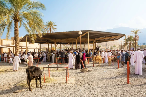 Nizwa Omã Novembro 2018 Visão Geral Mercado Animal Sexta Feira — Fotografia de Stock