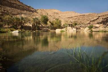 Muhteşem göl ve oasis Omani çölde palmiye ağaçları (Wadi Bani Khalid) ile