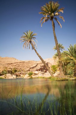 Muhteşem göl ve oasis Omani çölde palmiye ağaçları (Wadi Bani Khalid) ile
