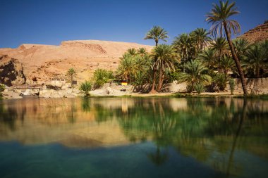 Muhteşem göl ve oasis Omani çölde palmiye ağaçları (Wadi Bani Khalid) ile
