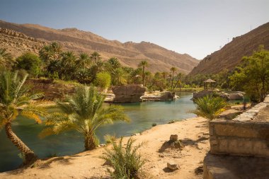 Muhteşem göl ve oasis Omani çölde palmiye ağaçları (Wadi Bani Khalid) ile