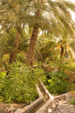 Tarihi avuç içi Köyü Misfat al Abriyyin vaha su kanalize