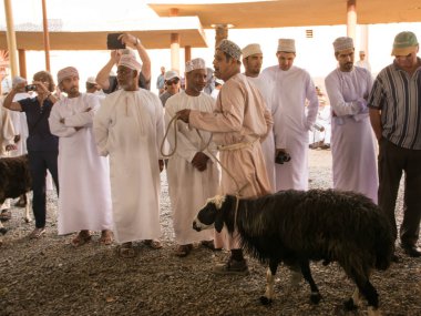 Nizwa, Umman - 2 Kasım 2018: Omani adam koyun Nizwa hayvan pazarında açık artırma için gösterir
