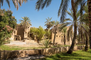 Eski çamur evleri ve palmiye ağacı içinde eski köy, Al Hamra (Umman)