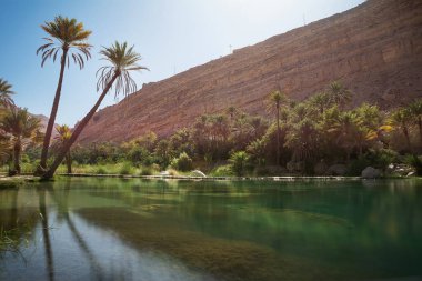 Muhteşem göl ve oasis Omani çölde palmiye ağaçları (Wadi Bani Khalid) ile