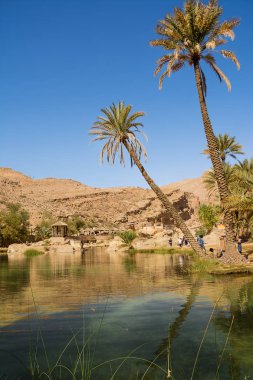 Wadi Bani Khalid, Umman - 5 Kasım 2018: Oasis ve göl (wadi) turist ile çölde