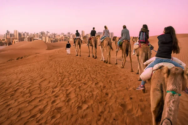 Groep toeristen rijden dromeders bij zonsopgang in de woestijnduinen a — Stockfoto