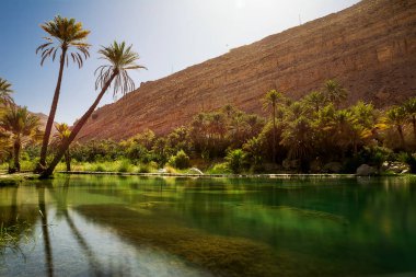 Muhteşem göl ve oasis Omani çölde palmiye ağaçları (Wadi Bani Khalid) ile