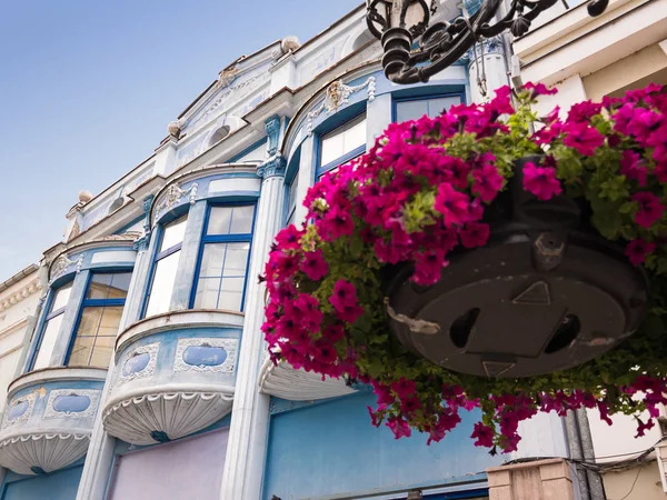 Blue bow windows and flowers in the foreground