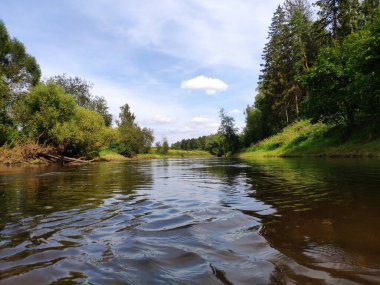 Ormandaki geniş nehir, bulutlu gökyüzü