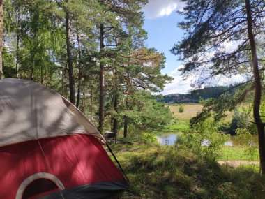 Nehir kıyısındaki çam ormanında bir turist çadırı