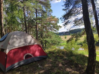 Nehir kıyısındaki çam ormanında bir turist çadırı