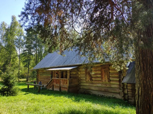 Uma casa velha feita de troncos grossos na floresta. A velha casa de madeira — Fotografia de Stock