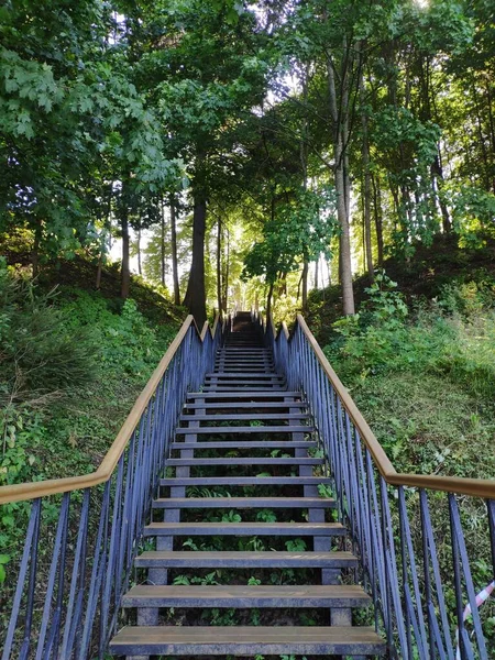 Treppe hoch in der Mitte des Waldes. Lange Treppen mit niemandem, Tempeltreppen im Wald — Stockfoto