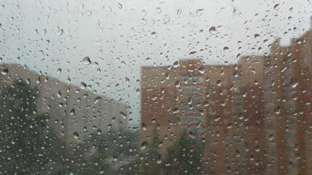 De zware regen in de stad. regendruppels lopen door het glas. stedelijke multi-verdiepingen gebouwen en straat in de regen achtergrond — Stockvideo