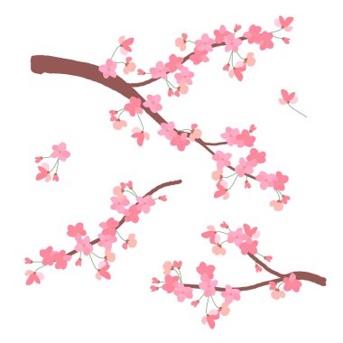 Baharın Sakura sembolü. Düğün geçmişi. Anime tarzında Japon vektör illüstrasyonu. Beyaz arka planda izole edilmiş kiraz çiçeği dalı. Davetler için Clipart.