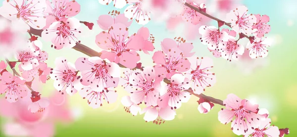 Rama Realista Sakura Rosa Sobre Fondo Azul Verde Flor Cerezo — Vector de stock