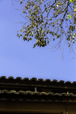 Çin 'in Zhejiang kentindeki antik köyler.