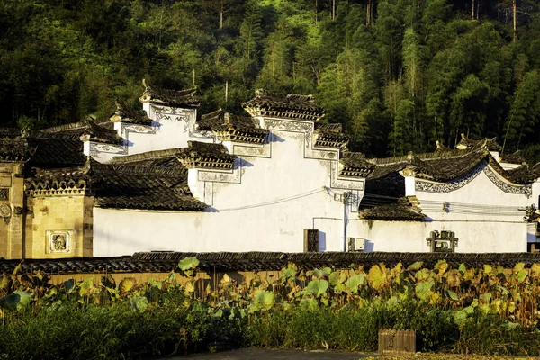 Çin 'in Zhejiang kentindeki antik köyler.