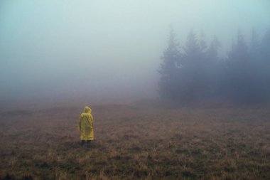 Karpat Dağları, Ukrayna'nın puslu manzara yağmurluk tanınmaz halde bizzat