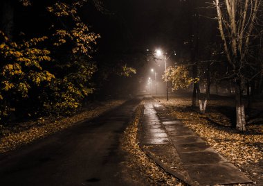 Kiev, Ukrayna geceleri Işıklı ağaçlar ile Park sokak