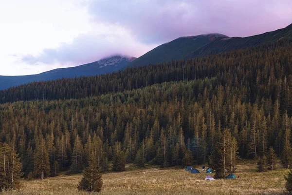 Camping Lisière Beaux Bois Dans Les Carpates Ukraine — Photo