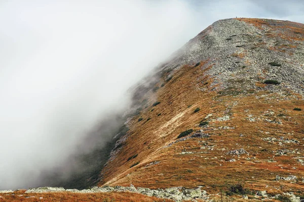 Rotsen Bedekt Met Cloud Deken Landschap Van Karpaten Oekraïne — Stockfoto