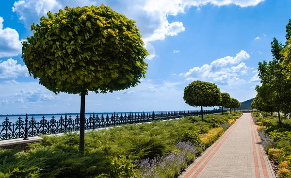 Trimmed trees at sunny embankment in Kyiv, Ukraine