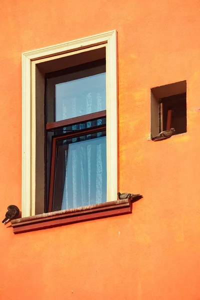 Moderna Fachada Del Edificio Urbano Con Ventana Palomas Kiev Ucrania — Foto de Stock