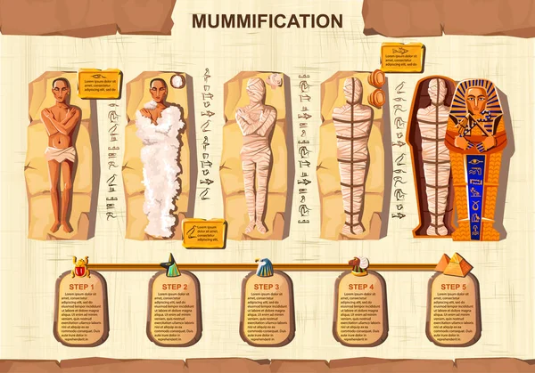 Mumie Schöpfung Cartoon Vektor Infografik — Stockvektor