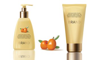 Deniz dikeni kozmetik vektör gerçekçi