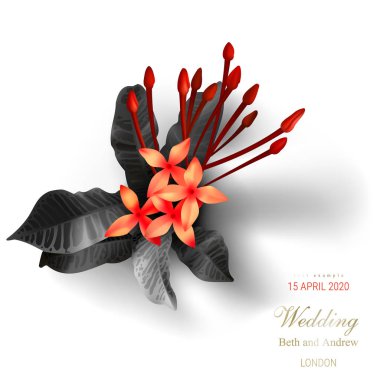 Beyaz arka planda tropikal siyah ve altın yaprakları