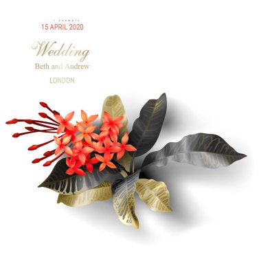 Beyaz arka planda tropikal siyah ve altın yaprakları