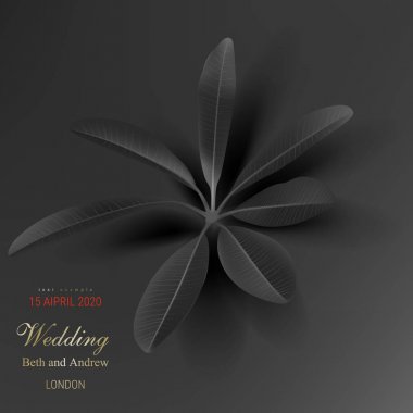 Koyu arka plan üzerinde tropikal siyah yapraklar