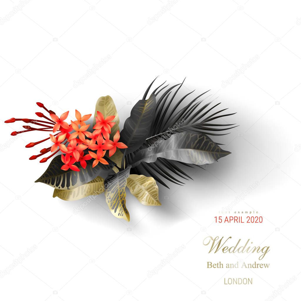 Tropical black and gold leaves on white background