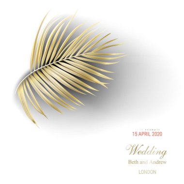 Beyaz arka planda tropikal altın palmiye yaprakları