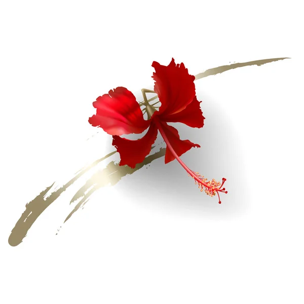 Flor de hibisco vermelho tropical sobre fundo branco —  Vetores de Stock