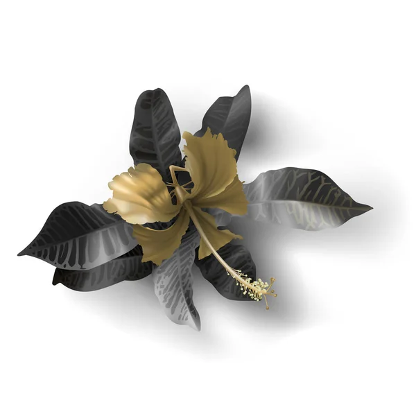 Tropiska svart och guld löv på mörk bakgrund — Stock vektor