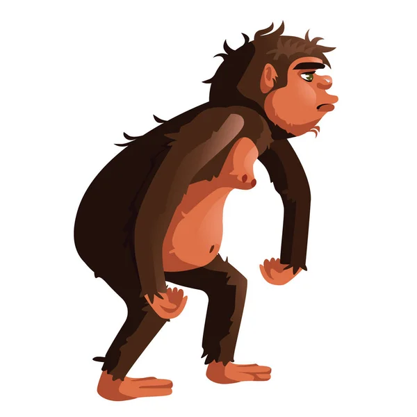 Ancient monkey, human ancestor illustration — Stock Vector