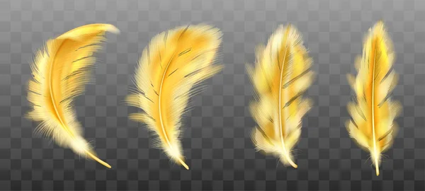 Golden yellow fluffy feather vector realistic — Stock Vector