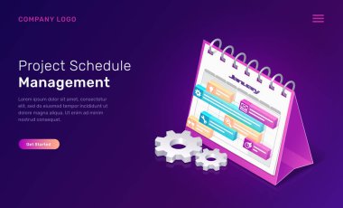 Proje program yönetimi izometrik kavramı