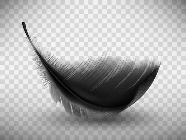 Black fluffy feather with shadow realistic — Stock Vector