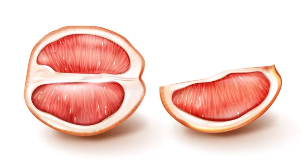 Vector mitad y rebanada de pomelo rojo — Vector de stock