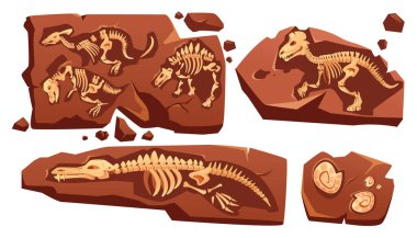 Fossil dinosaurs skeletons, buried snails shells clipart