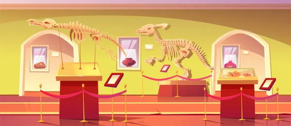 Museo de Historia con artefactos esqueléticos de dinosaurios — Vector de stock