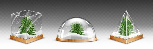 Snow globes with christmas tree on wooden base — Stock Vector